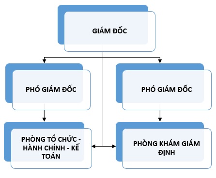 Sơ đồ tổ chức